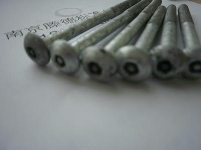 熱鍍鋅防盜螺絲